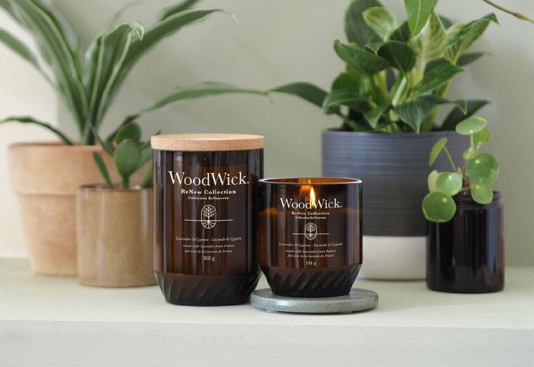 WoodWick Geurkaars Medium - ReNew - Lavender &amp; Cypress - 9.5 cm / &oslash; 8 cm