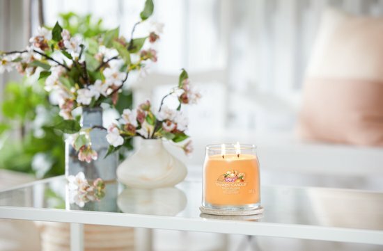 Yankee Candle - Mango Ice Cream Signature Medium Jar
