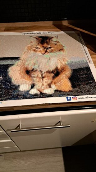 Diamond Painting Custom / ontwerp eigen foto