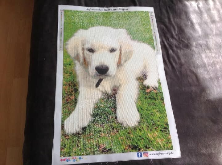 Diamond Painting Custom / ontwerp eigen foto