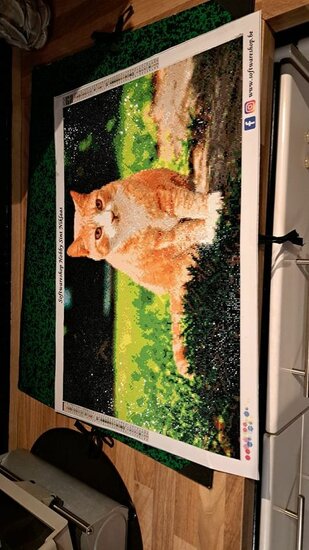Diamond Painting Custom / ontwerp eigen foto