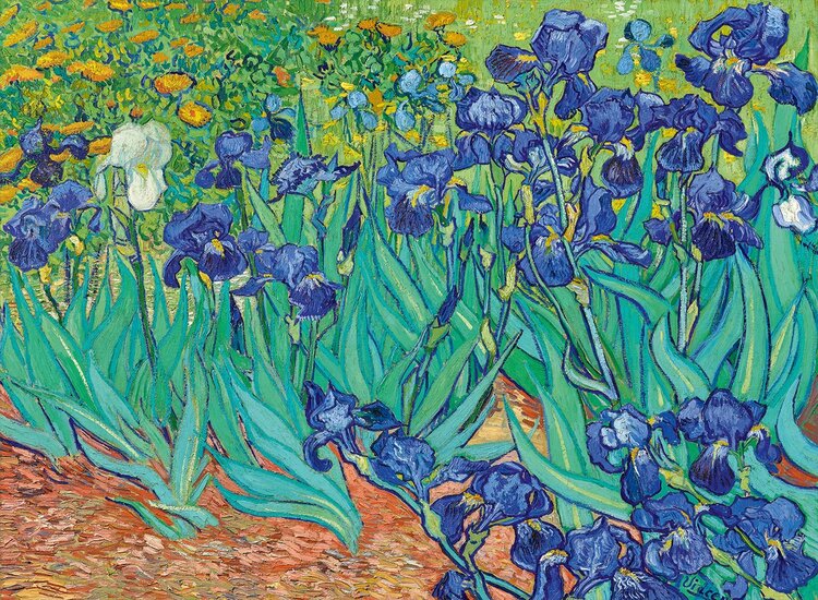 Vincent Van Gogh - Irises, 1889  Puzzel 3000 Stukjes