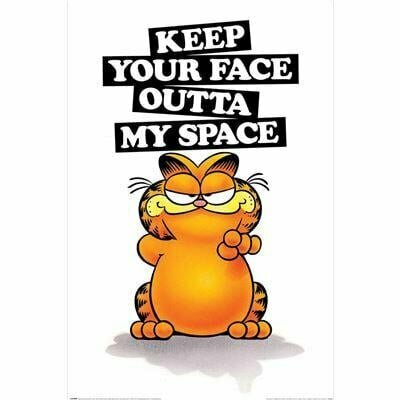 GARFIELD - Keep Your Face - Poster 61 x 92cm