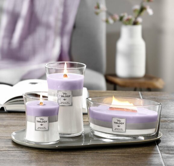 WoodWick Trilogy Heartwick Ellipse Geurkaars - Amethyst Sky