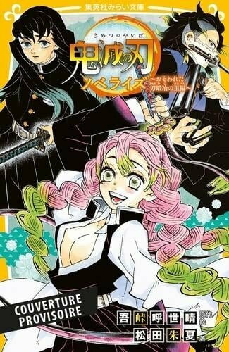 DEMON SLAYER - Roman - Tome 5