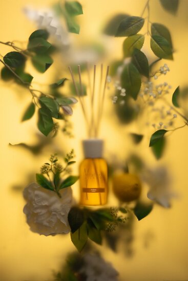 Millefiori Milano Geurstokjes 100 ml - Riviera