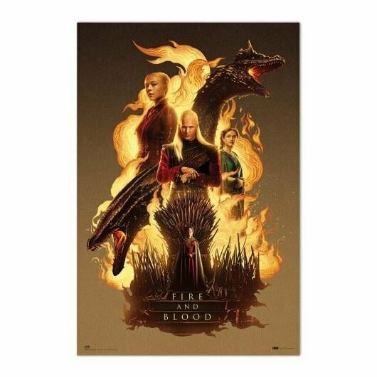 HOUSE OF DRAGONS - Fire &amp; Blood - Poster 61 x 91cm