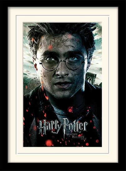 HARRY POTTER - Mounted &amp; Framed 30X40 Print - Deathly Hallows Part2