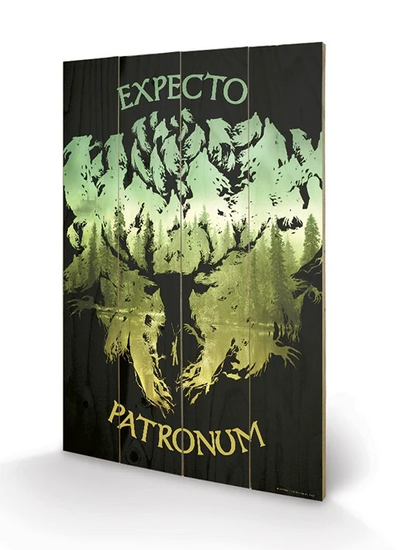HARRY POTTER - Impression sur Bois 40X59 - Expecto Patronum