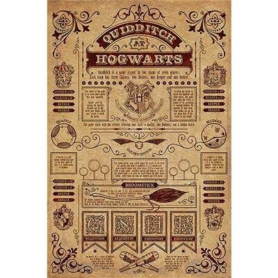 HARRY POTTER - Quidditch at Hogwarts - Poster 61 x 91cm