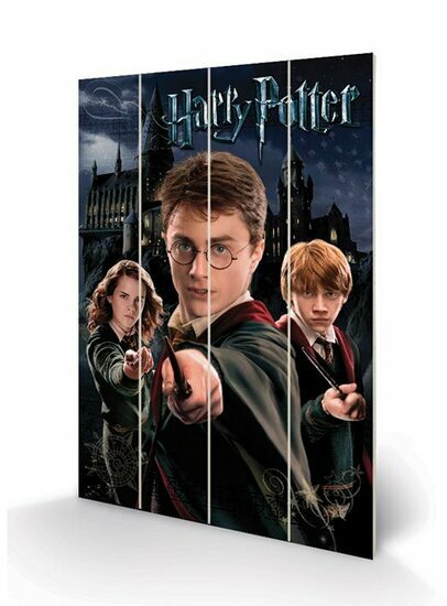 HARRY POTTER - Wood Print 40x59cm - Harry Ron &amp; Hermione