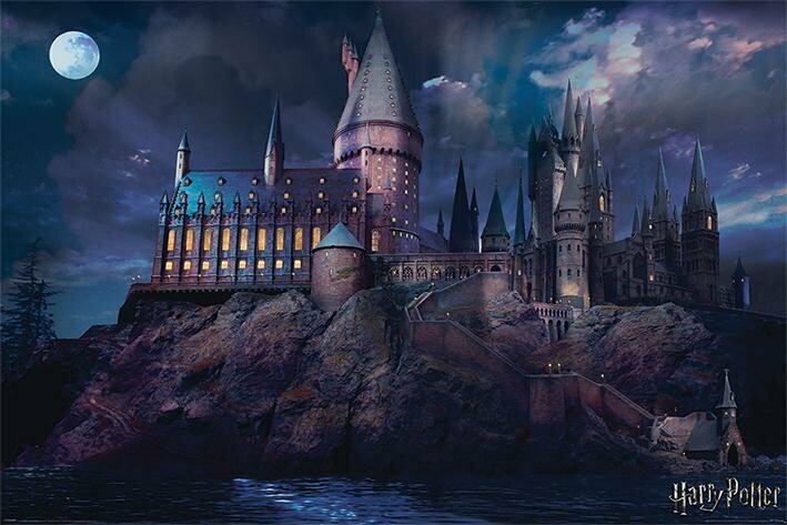HARRY POTTER - Poster 61x91 - Hogwarts