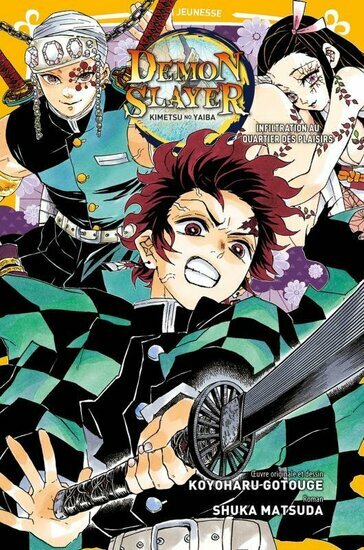 DEMON SLAYER - Roman - Tome 4