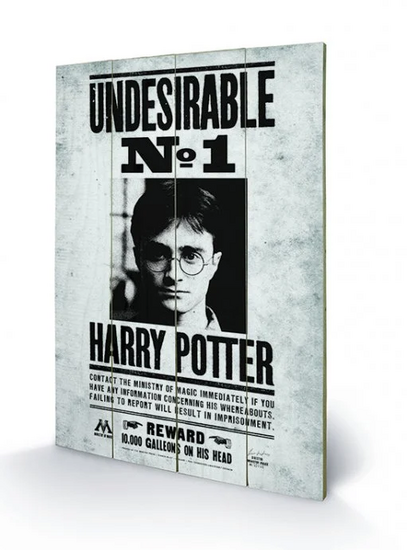 HARRY POTTER - Printing on wood 40X59 - Undesirable N? 1