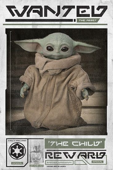 STAR WARS - The Mandalorian - Poster 61X91 - Wanted the Child