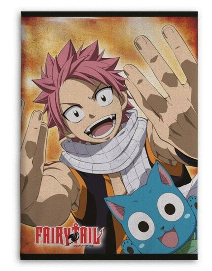 FAIRY TAIL - Natsu &amp; Happy - Polar Fleece 100x140cm