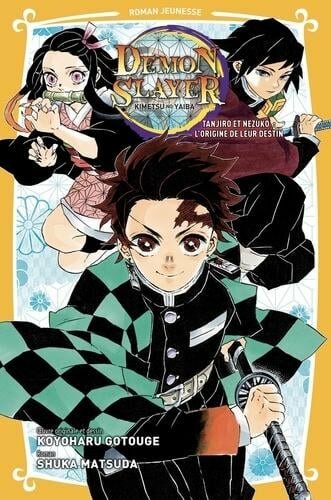 DEMON SLAYER - Roman - Tome 1