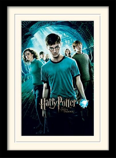 HARRY POTTER - Mounted &amp; Framed 30X40 Print - Order of The Phoenix