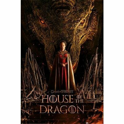 HOUSE OF THE DRAGON - Dragon Throne - Poster 61x91cm