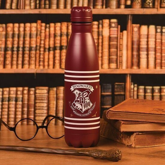 HARRY POTTER - Metal Bottle - Crest &amp; Stripes - 500ml