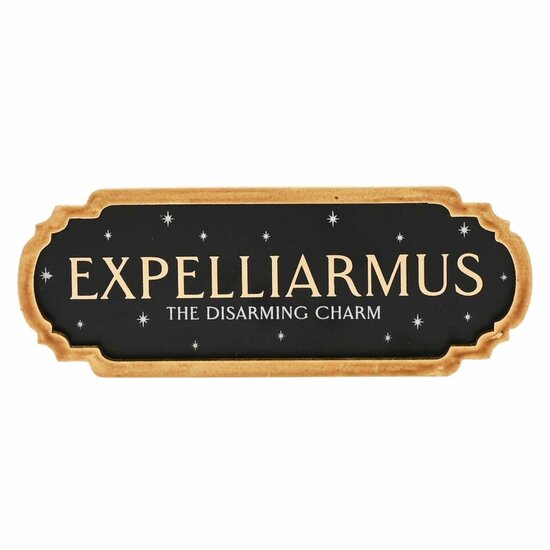 HARRY POTTER - Expelliarmus - Wall Decoration HARRY POTTER - Expelliarmus - Wall Decoration