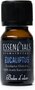 Boles d&#039;olor Essencials geurolie 10 ml - Eucalyptus