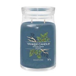 Yankee Candle  Bayside Cedar Signature Large Jar