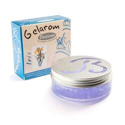 Boles d'olor Geurgel in pot - Iris