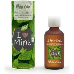I love Mint - Boles d'olor geurolie 50 ml