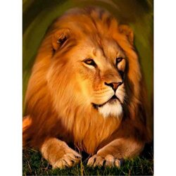 Diamond painting op kader "Majestic lion" 30x40 cm