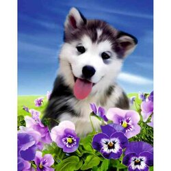 Diamond painting op kader  Husky in flowers  40 x 50 cm