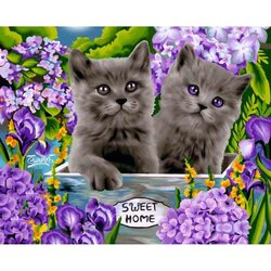 Diamond painting op kader British kittens 40 x 50 cm