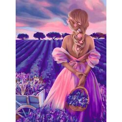 Diamond painting op kader Lavender paradise 30 x 40 cm