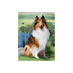 Diamond Painting Collie 30x40 cm vierkante steentjes