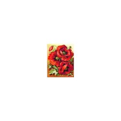 Diamond Painting Bright Poppies 30x38 cm vierkante steentjes