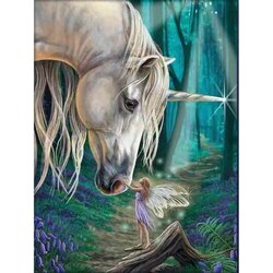 Unicorn and Fairy 30x40 cm