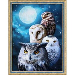 Diamond Painting Night owls / Uilen  30x40 cm vierkante steentjes