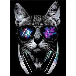 Diamond Painting  Stylish cat 30x40 cm Vierkante steentjes