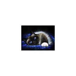 Diamond Painting Kit Siamese Beauty  40 x30 cm vierkante steentjes