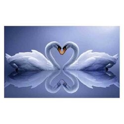 Diamond painting kit Swans 50x80 cm vierkante steentjes