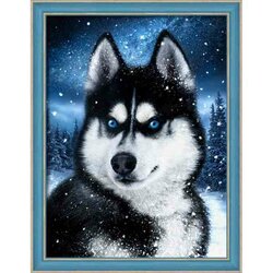 Diamond Painting Snow Husky 30 x40 cm vierkante steentjes
