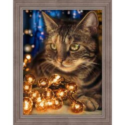 Diamond Painting Fluffy Rascal 30 x 40  cm vierkante steentjes