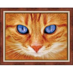 Diamond painting kit Blue-Eyed Cat 40 x 30 cm vierkante steentjes