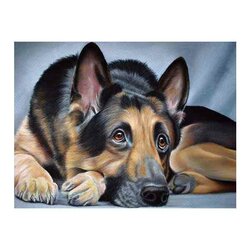 Diamond Painting Sheepdog  40 x 30 cm vierkante steentjes