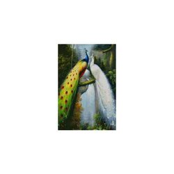 Diamond painting kit Peacocks / Pauwen 50 x 75 cm vierkante steentjes