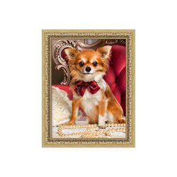 Diamond Painting Chihuahua met strikje    30 x 40 cm vierkante steentjes