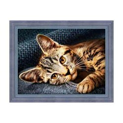 Diamond Painting Cat Barsik   40 x 30 cm vierkante steentjes