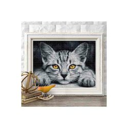 Diamond painting kit Yellow-Eyed Kitten  40 x 30 cm vierkante steentjes