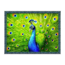 Diamond painting kit Beautiful Peacock 40 x 30 cm vierkante steentjes