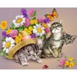 Diamond Painting 3 Kittens 50 x 40 cm vierkante steentjes